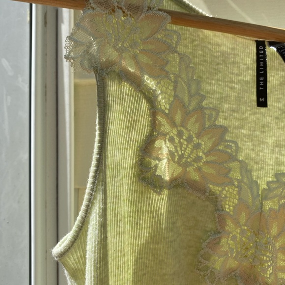 The Limited Lace Tank Top - Picture 6 of 6